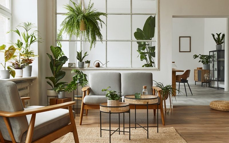 Coffee Tables