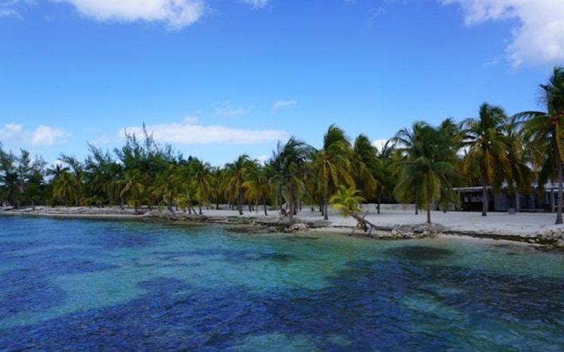 Best Beaches in Cancun: A Sun-Seekers Paradise