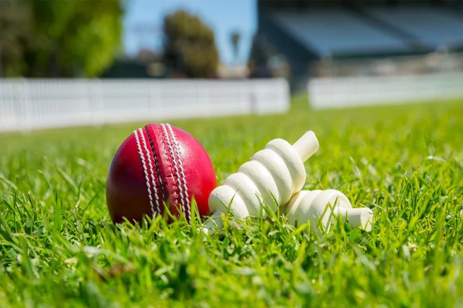 Cricket
