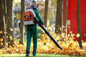 Expert Leaf Cleanup Tips: Master Fall Leaves Like a Pro Landscaper